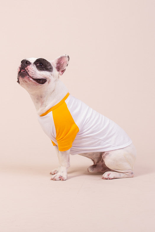 Roupa Pet "Eu Vejo o Rei"