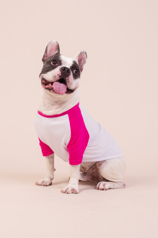 Roupa Pet "Eu Vejo o Rei"