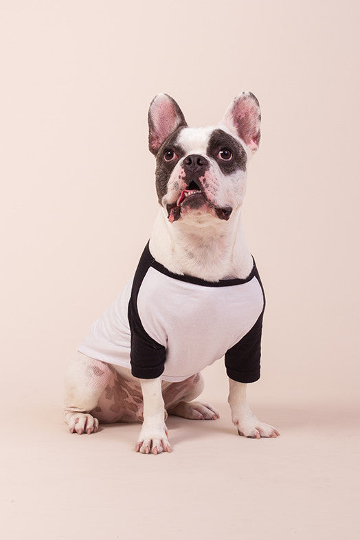 Roupa Pet "Maranata"